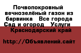 Почвопокровный, вечнозелёный газон из барвинка - Все города Сад и огород » Услуги   . Краснодарский край